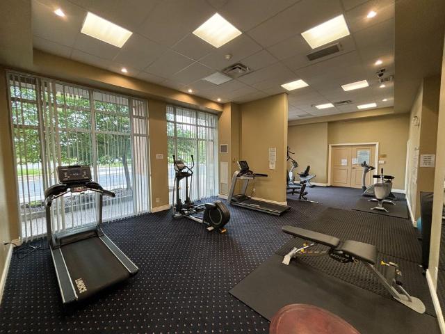 Apartment for rent in Maple, Vaughan