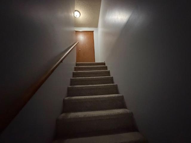 Apartment for rent in Arva, Ontario