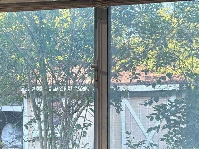 Room for rent in Markham Village, Markham