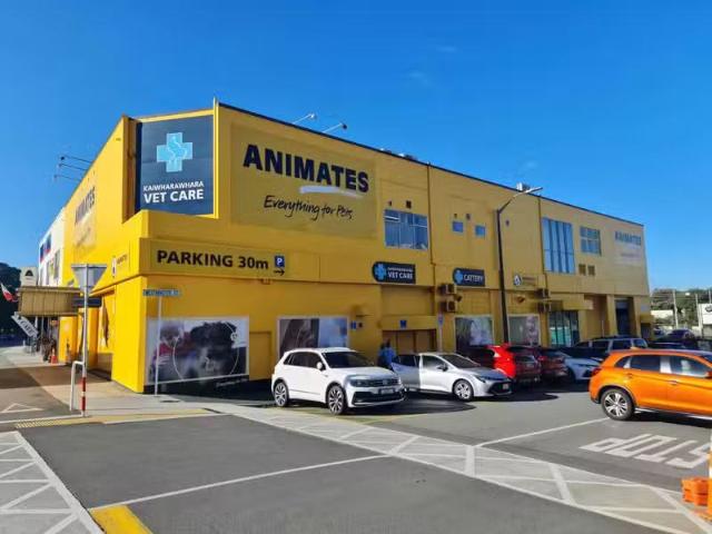 House for rent in Matata, Wellington