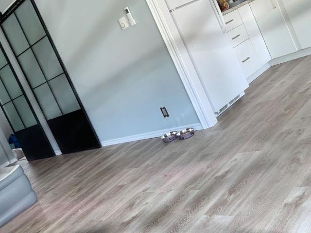 House for rent in York, Ontario