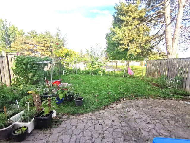 House for rent in Woburn, Ontario
