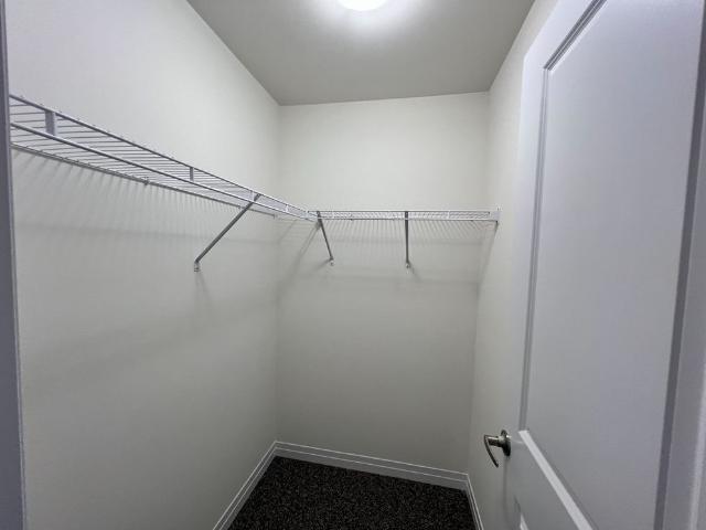 House for rent in Arthur, Wellington North