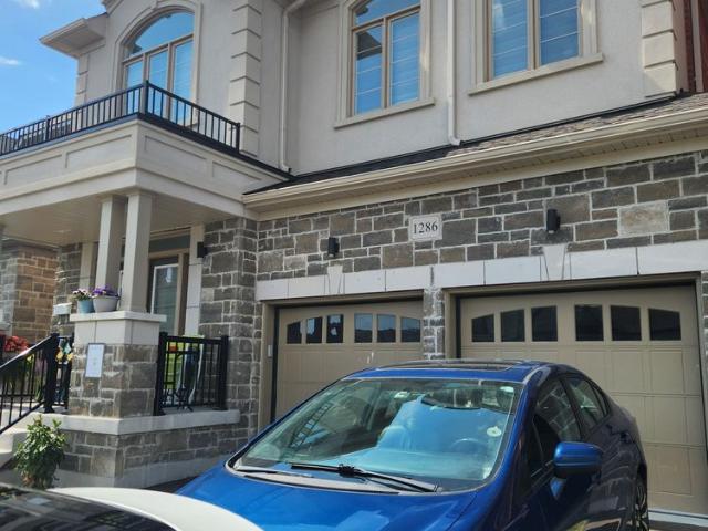 Apartment for rent in Eastdale, Oshawa