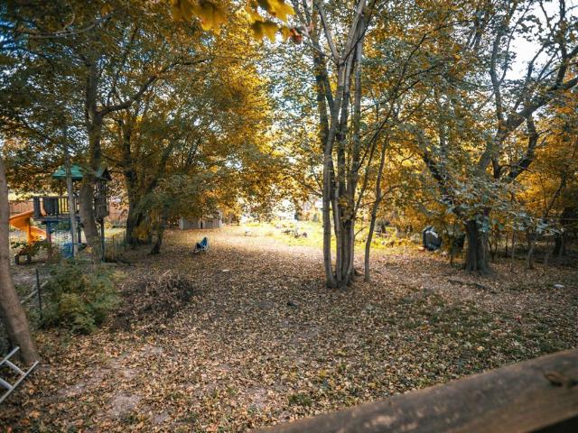 House for rent in Two Rivers Neighbourhood Group, Guelph