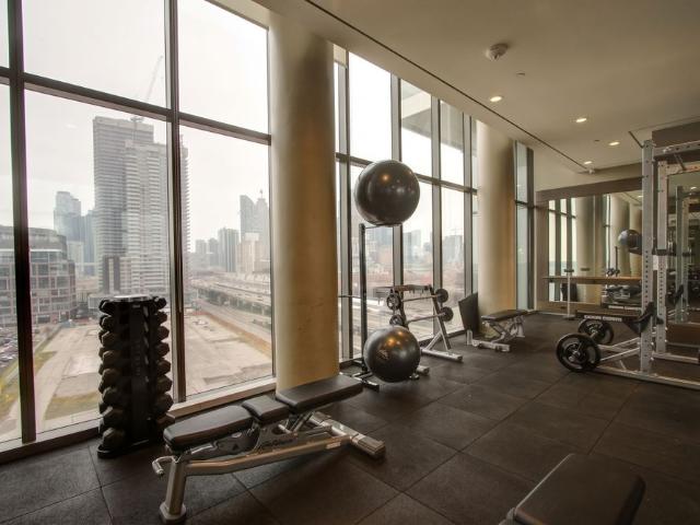 Apartment for rent in Spadina—Fort York, Toronto