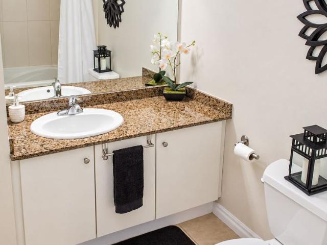 Apartment for rent in Spadina—Fort York, Toronto