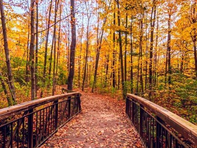 Apartment for rent in Bronte Village, Oakville