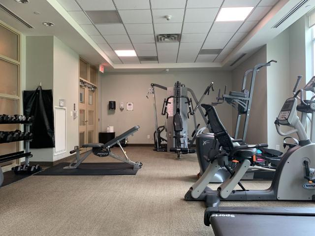 Apartment for rent in Etobicoke Centre, Toronto