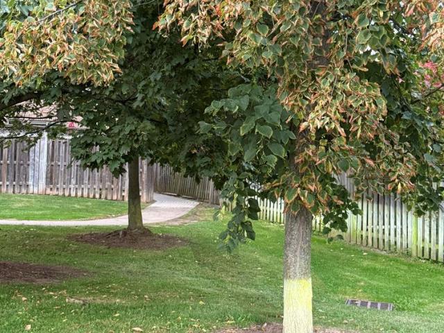 Apartment for rent in Oakville, Golden Horseshoe