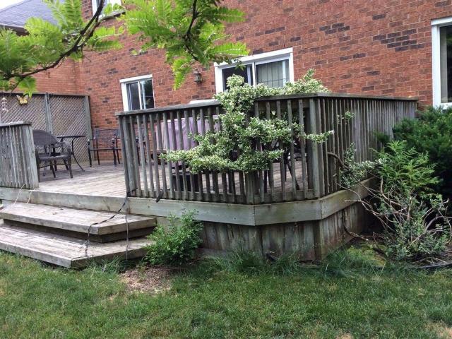 House for rent in Oakville, Ontario
