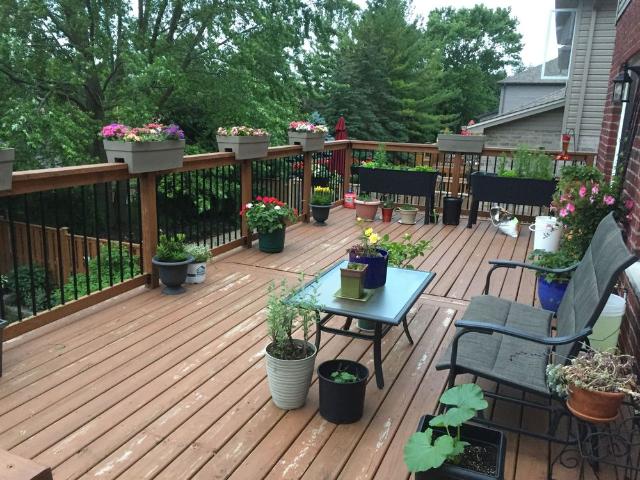 House for rent in Arva, Ontario