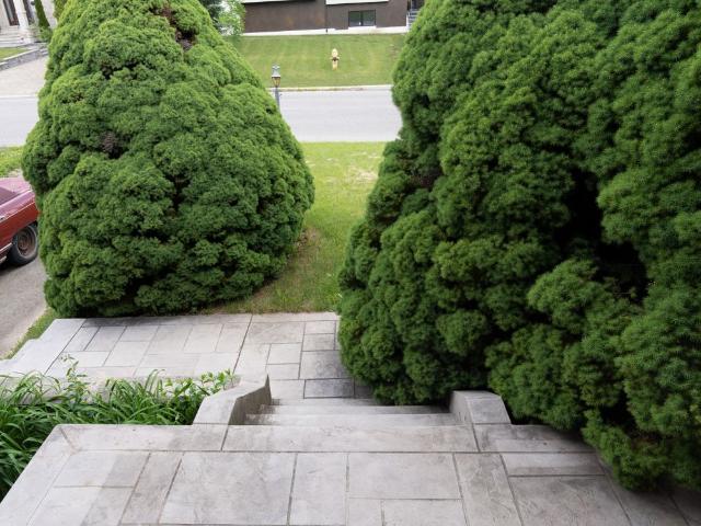 Apartment for rent in Woburn, Ontario