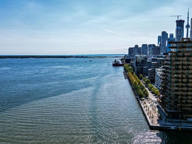 Apartment for rent in Spadina—Fort York, Toronto