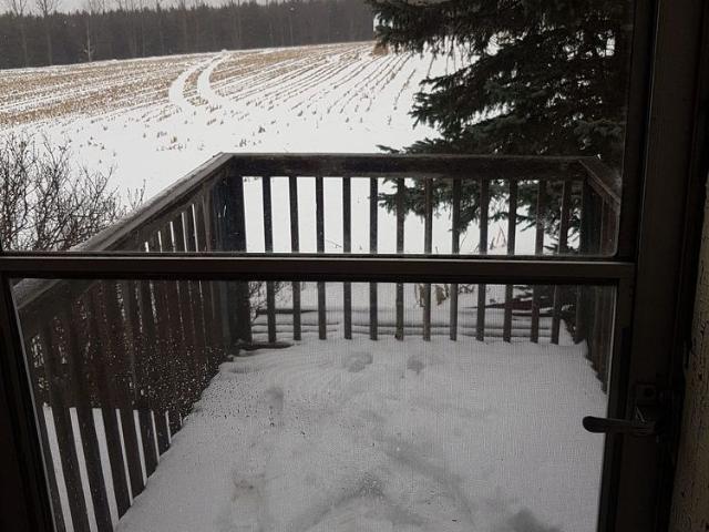 House for rent in Melancthon, Central Ontario