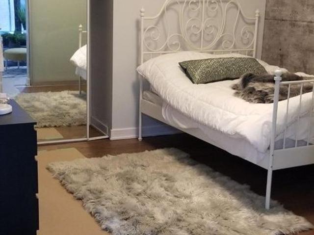 Apartment for rent in Spadina—Fort York, Toronto