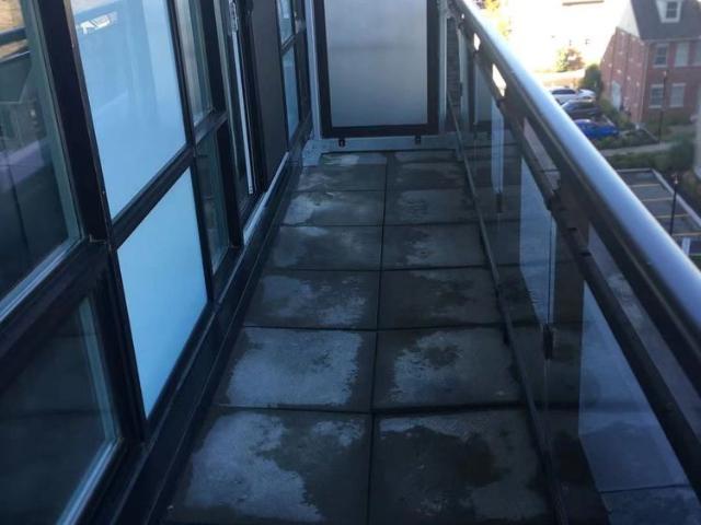 Apartment for rent in Kitchener, Ontario
