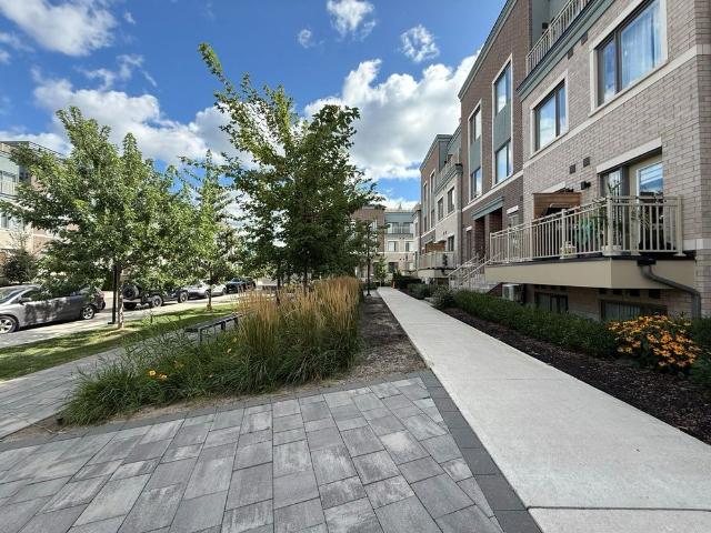 Apartment for rent in Etobicoke—Lakeshore, Toronto