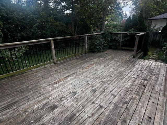 House for rent in Richmond Hill, Golden Horseshoe