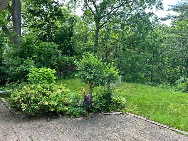 House for rent in York, Ontario