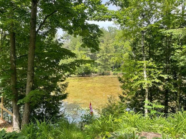 House for rent in Kawartha Lakes, Ontario