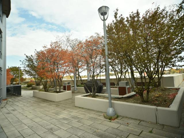 Apartment for rent in Scarborough—Agincourt, Toronto