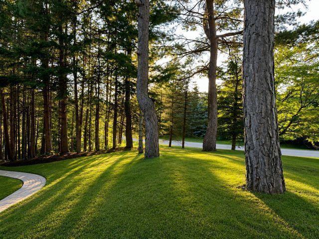Apartment for rent in York, Ontario