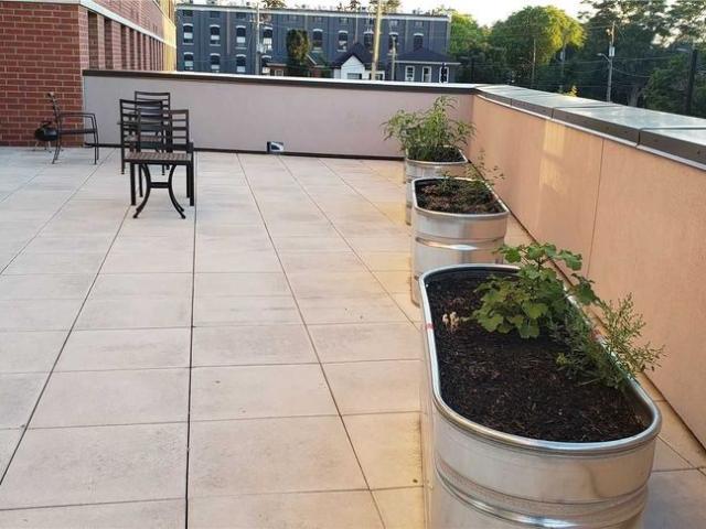 Apartment for rent in Brant, Ontario