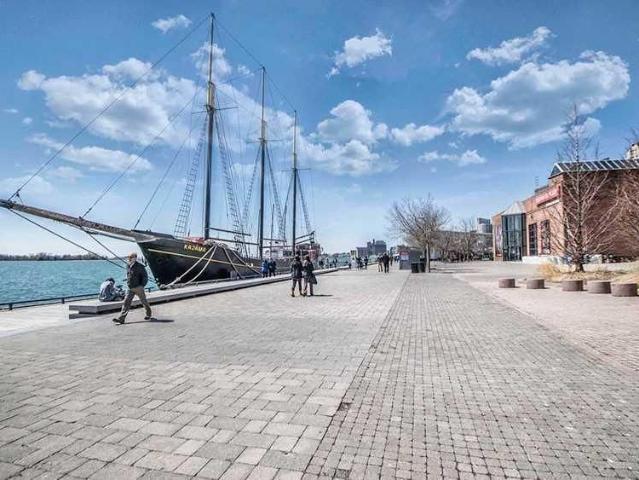 Apartment for rent in Spadina—Fort York, Toronto