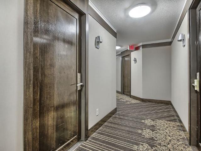 Apartment for rent in Spadina—Fort York, Toronto