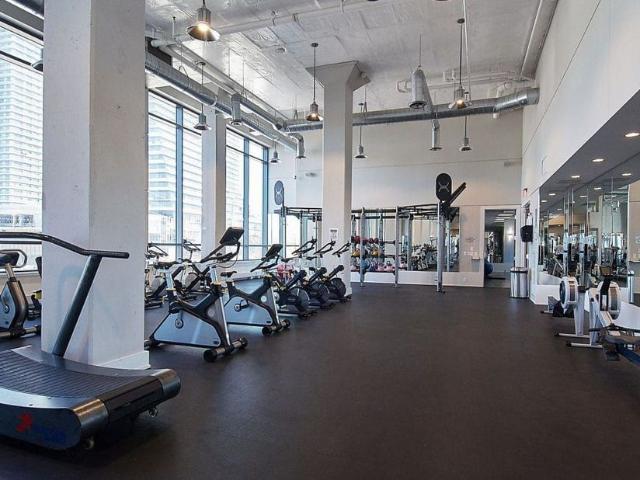 Apartment for rent in Etobicoke—Lakeshore, Toronto