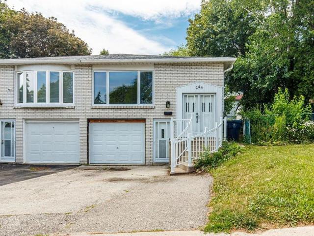 House for rent in Woburn, Ontario