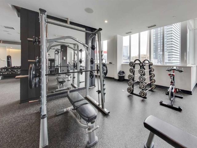 Apartment for rent in Spadina—Fort York, Toronto