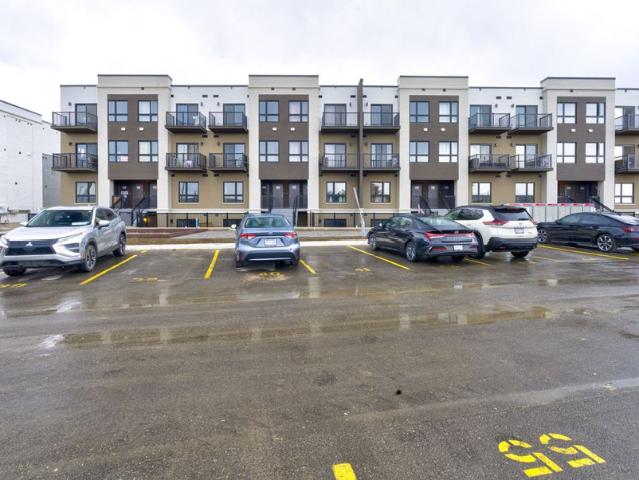 Apartment for rent in Kitchener, Ontario
