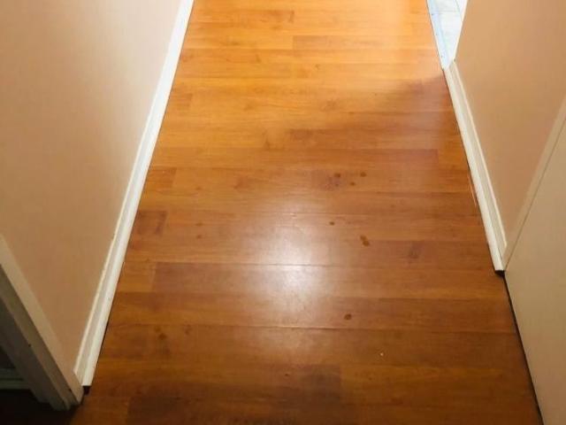 Apartment for rent in Mississauga, Ontario