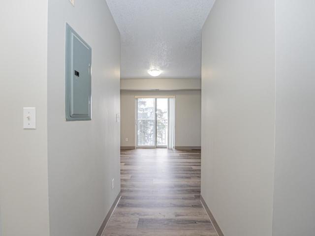 Apartment for rent in Waterloo, Ontario