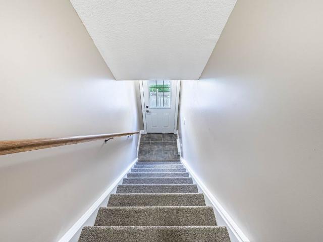 Apartment for rent in Kitchener, Ontario
