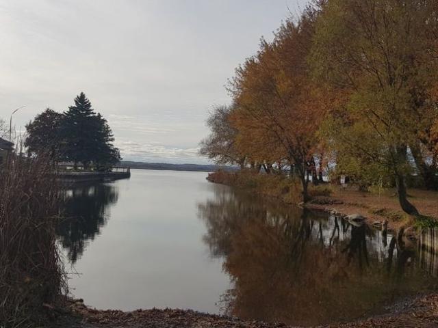 House for rent in Golden Horseshoe, Ontario