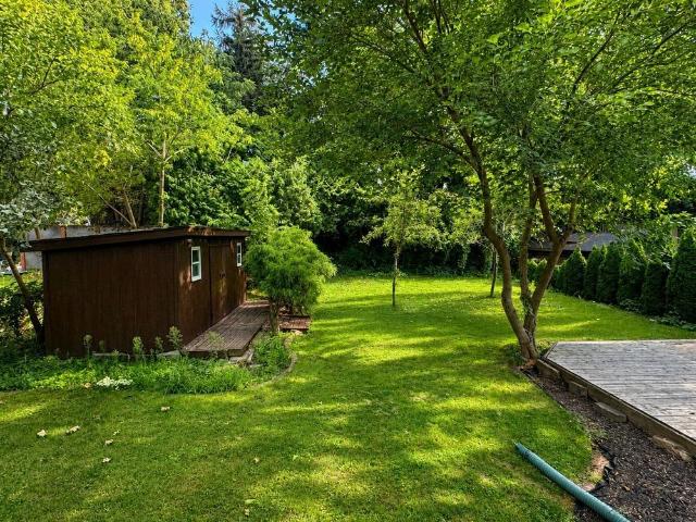 House for rent in Westcliffe East, Hamilton