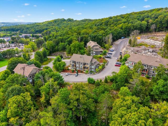 Apartment for rent in Muskoka, Ontario