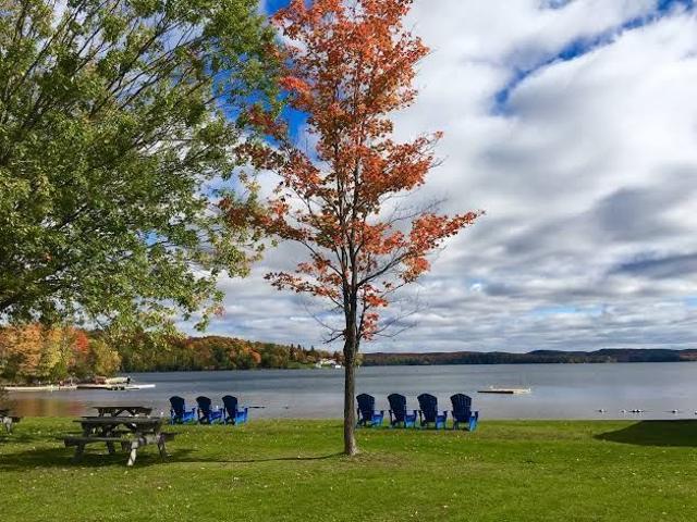 Apartment for rent in Huntsville, Central Ontario