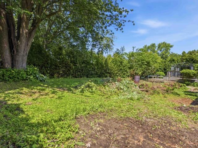 House for rent in York, Ontario