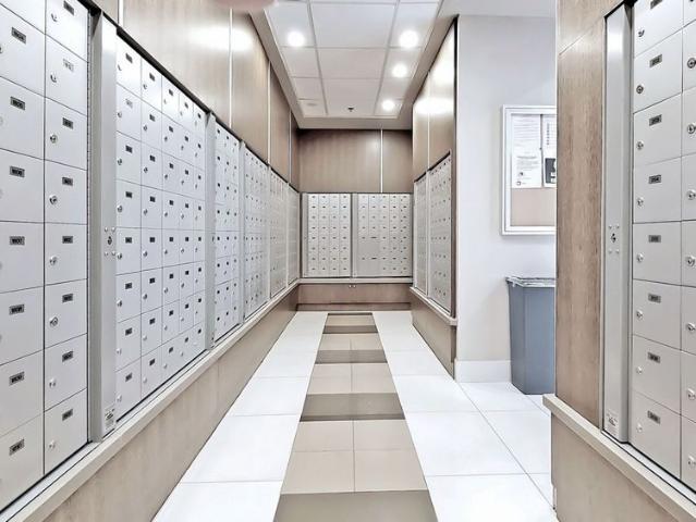 Apartment for rent in Spadina—Fort York, Toronto