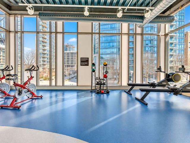 Apartment for rent in Spadina—Fort York, Toronto