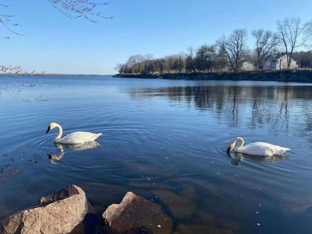 House for rent in Ramara, Ontario