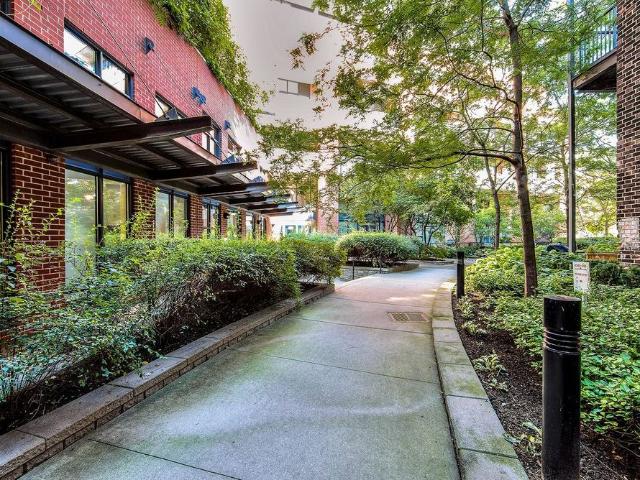 Apartment for rent in Roncesvalles, Toronto