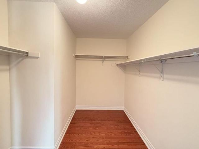 House for rent in York, Ontario