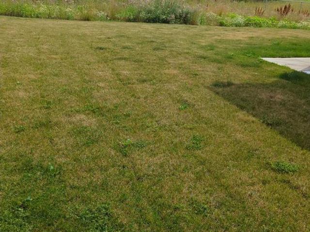 House for rent in Amherstburg, Ontario