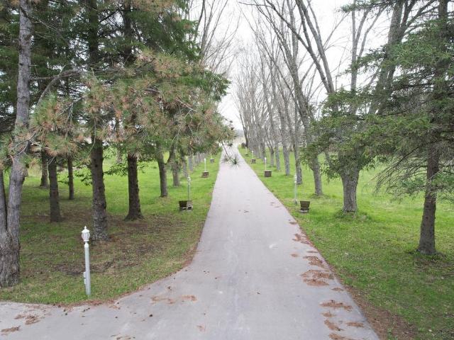House for rent in York, Ontario