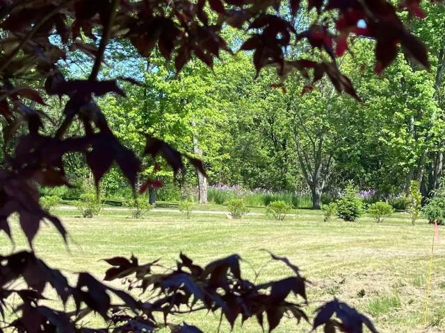 House for rent in Ancaster, Ontario